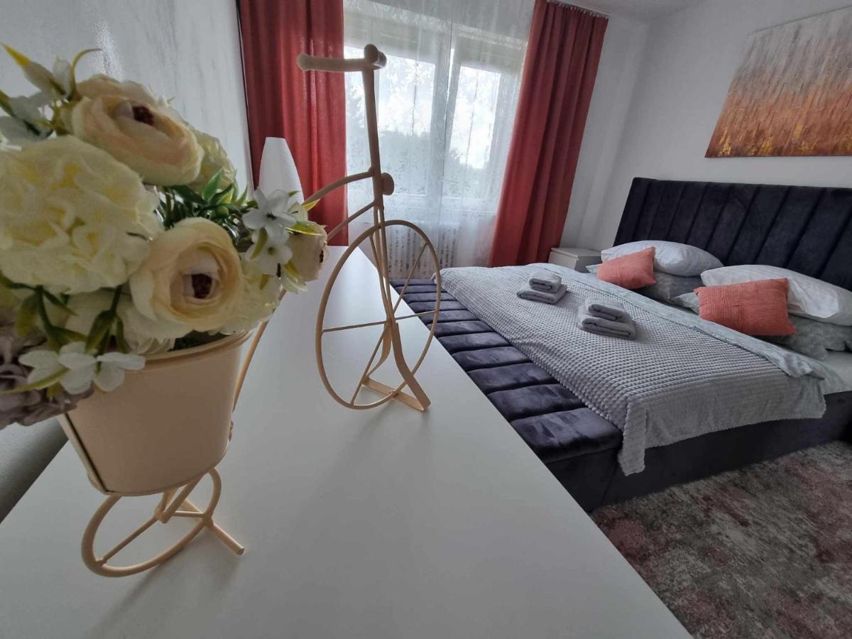 Prostorny Byt V Centru U Reky, 2 Loznice, Balkon Hradec Králové Exteriör bild