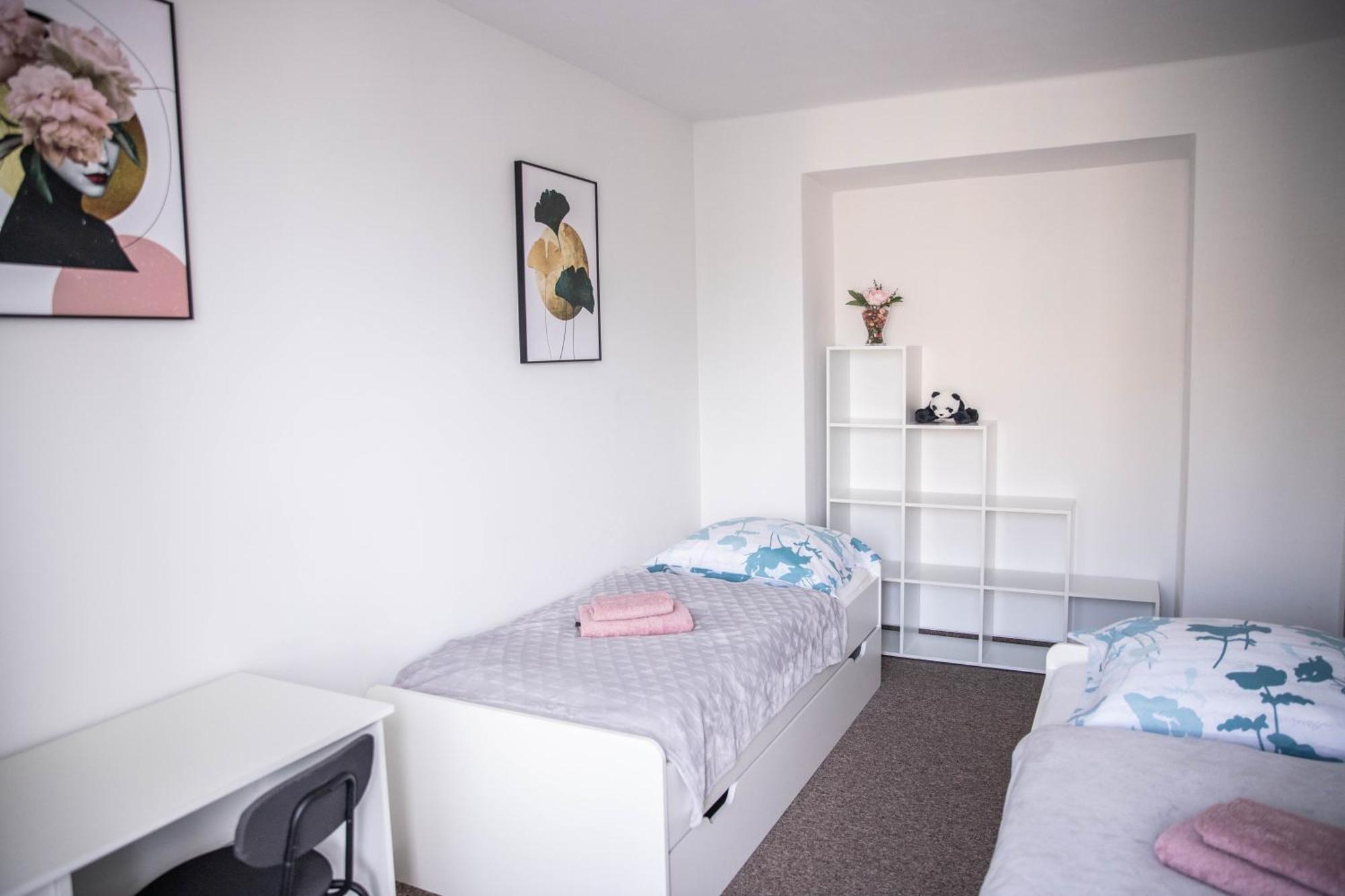 Prostorny Byt V Centru U Reky, 2 Loznice, Balkon Hradec Králové Exteriör bild